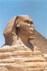 Sphinx (close-up)