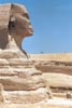 Sphinx (Side profile)